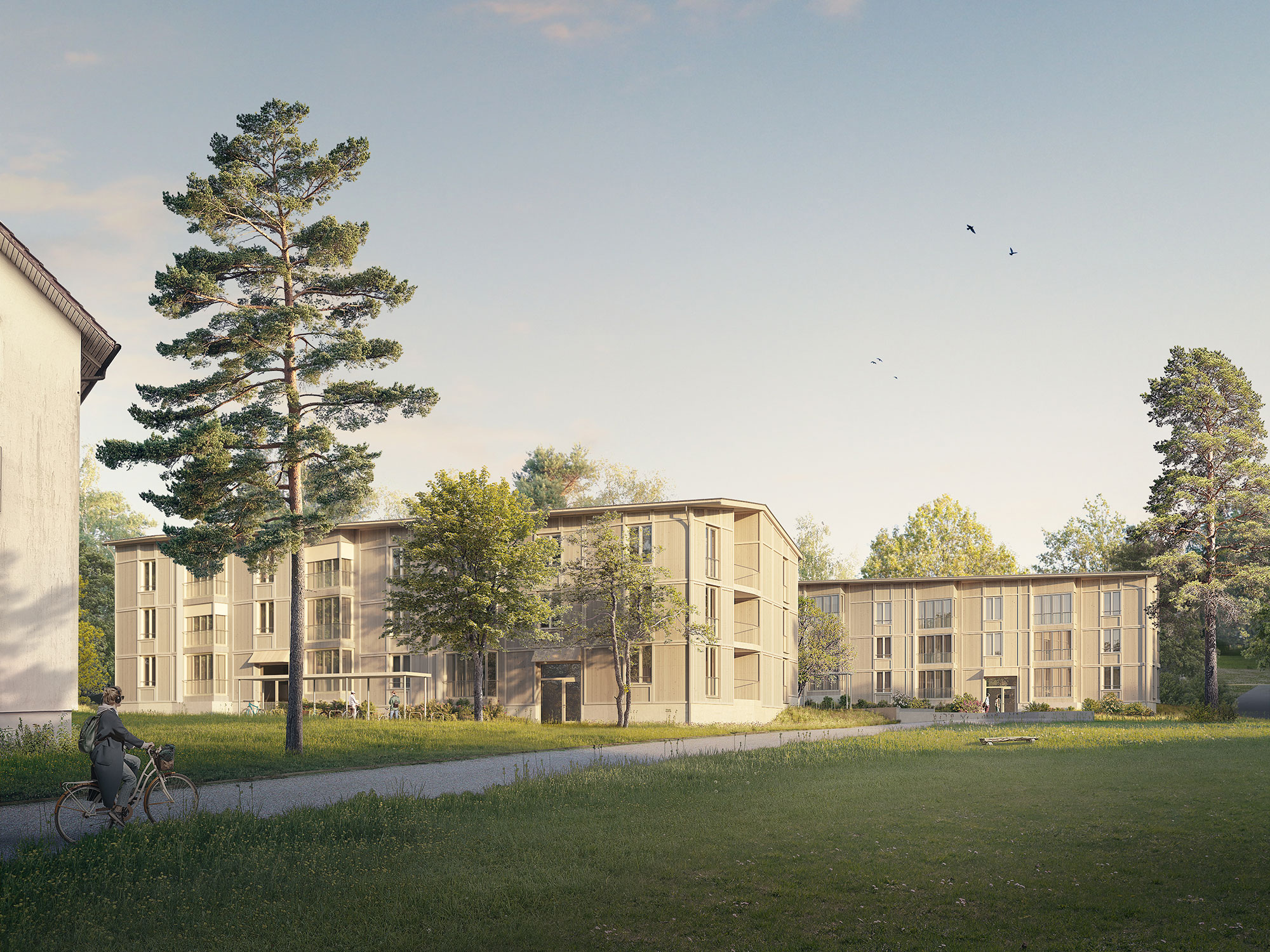 581_SIK_HHS_Aarau_img001_site